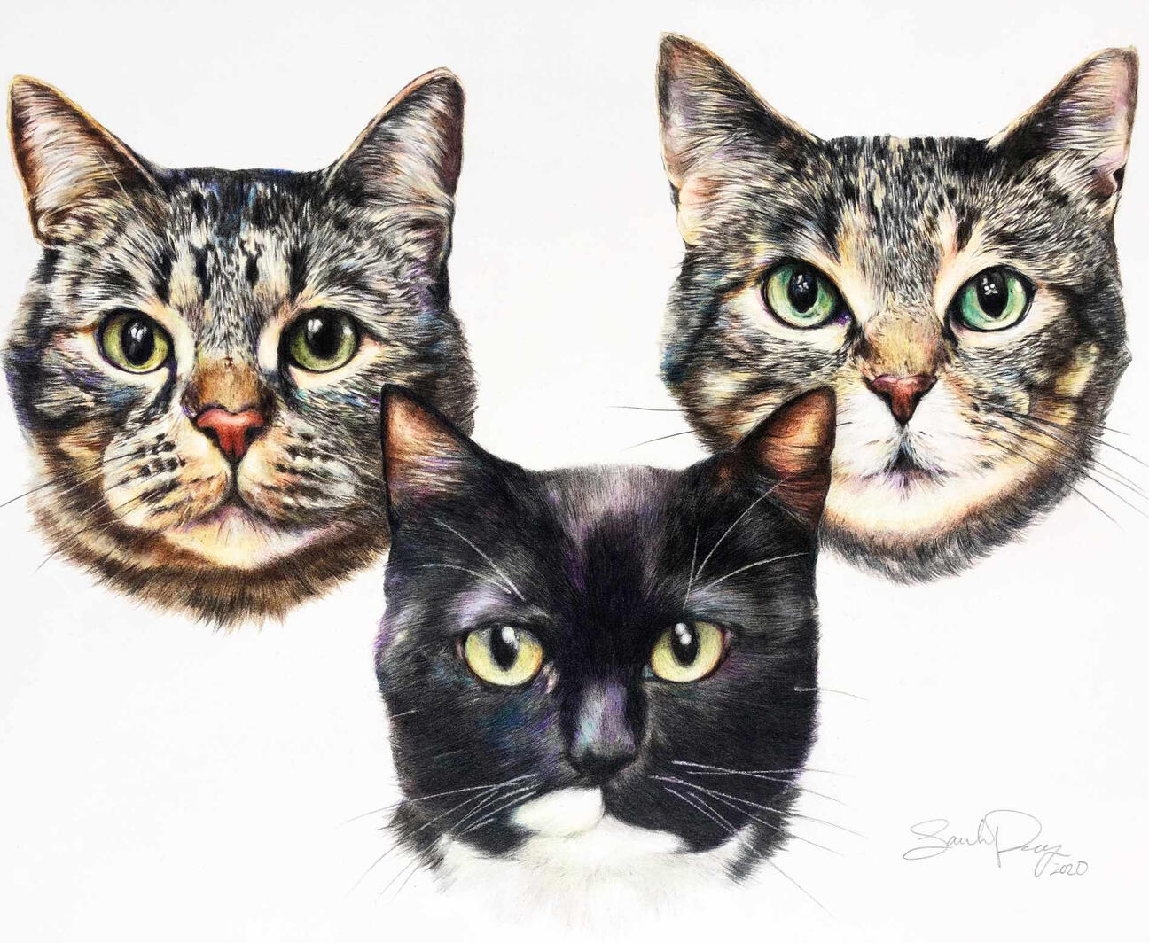 3 Cats