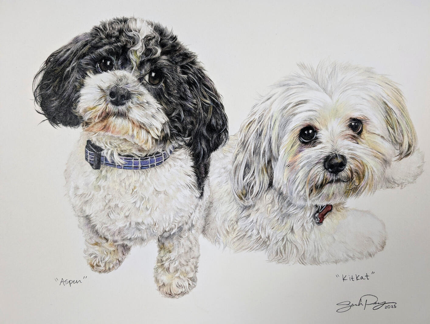 Aspen and KitKat