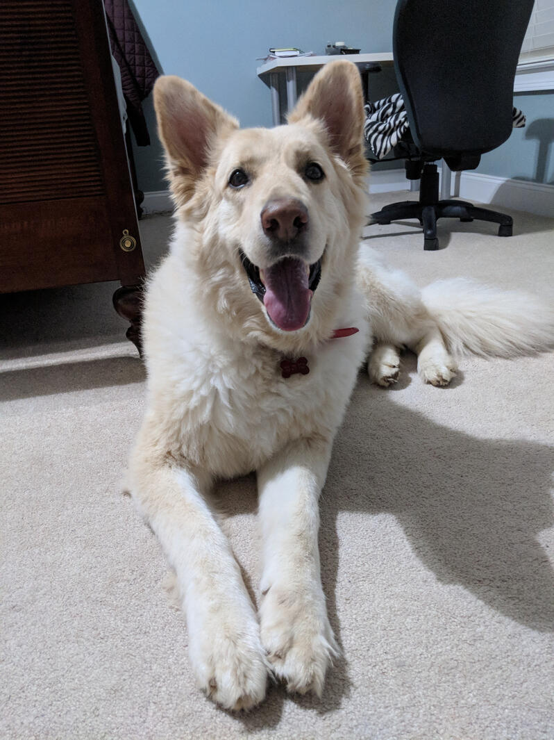 Leo